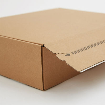 Customized Private Logo Corrugated Shipping Adhesive Tear Strip Open Postal Box for Items
