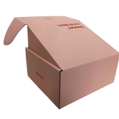 CMYK Color Carton Mailer Shipping Boxes Exquisite Craft Paper Box Packaging