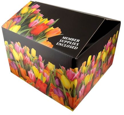 Recyclable Tuck Top Boxes Craft Corrugated Cardboard Paper Packaging Carton Box