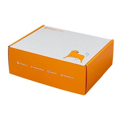 Custom Color Printing Hard Aircraft Mailer Box for Safe and Secure Apparel Packaging