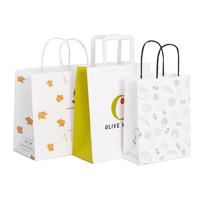 Custom Order Acceptable Luxury Logo Printed Shopping Bag for Beautiful Holiday Gift