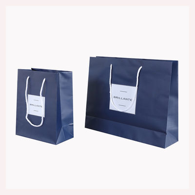 Custom Order Acceptable Luxury Logo Printed Shopping Bag for Beautiful Holiday Gift