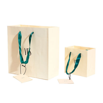Custom Order Acceptable Luxury Logo Printed Shopping Bag for Beautiful Holiday Gift