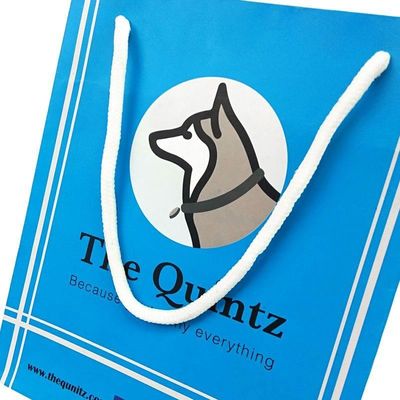 Eco-Friendly Custom Clothes Packaging Bag with Recycled Woodfree Paper and Custom Logo