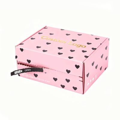 Luxury Custom Corrugated Paper Boxes Cardboard Gift Mailing Mailer Shipping Container for Clothing Packaging